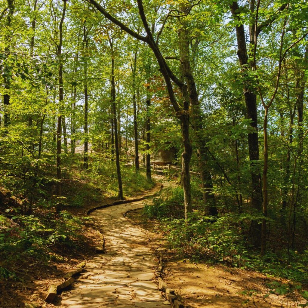 Hiking trail in Margalla Hills near Bani Gala islamabad.